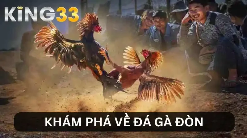 Giới thiệu về đá gà đòn