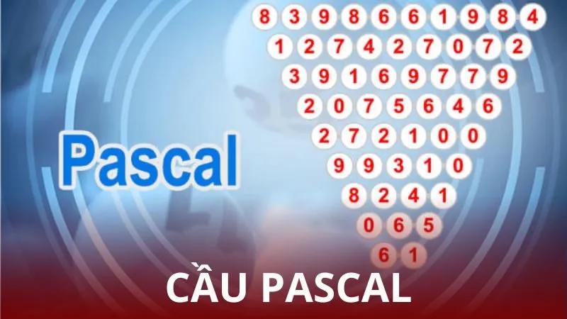 Cầu pascal