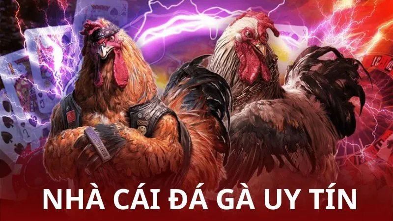 Nhà cái đá gà uy tín